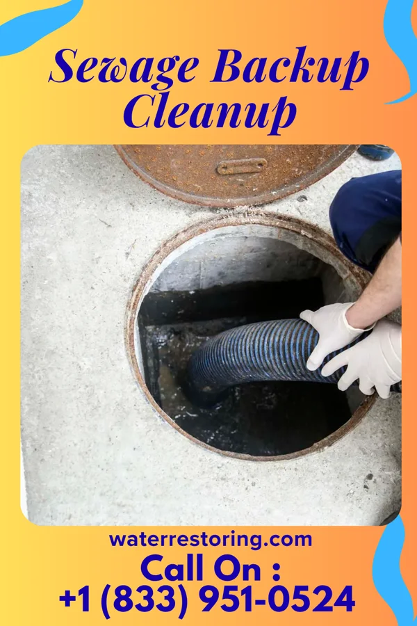 Sewage Backup Cleanup in Concordia, MO