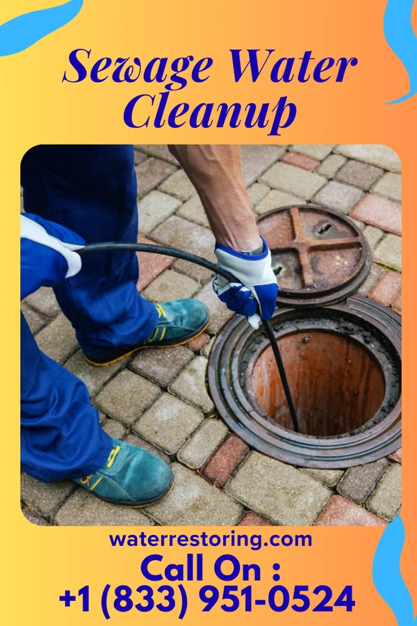 Sewage Water Cleanup in Concordia, MO